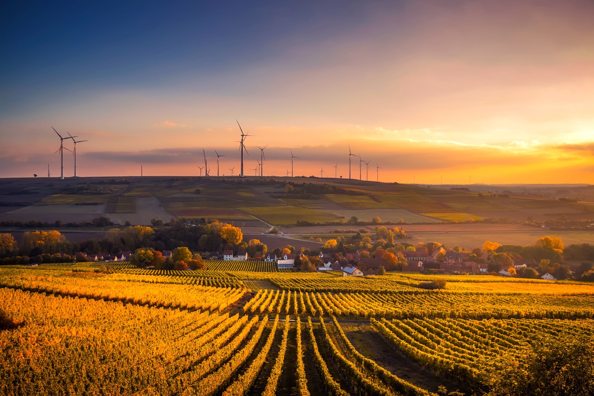 agricultural field with wind turbines in the background